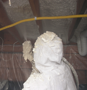 Portland OR crawl space insulation